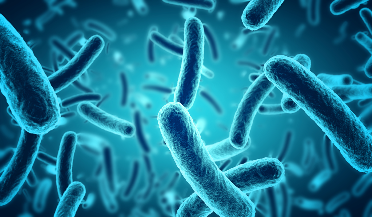 Role of probiotics in maintaining human health. What is a probiotic?
