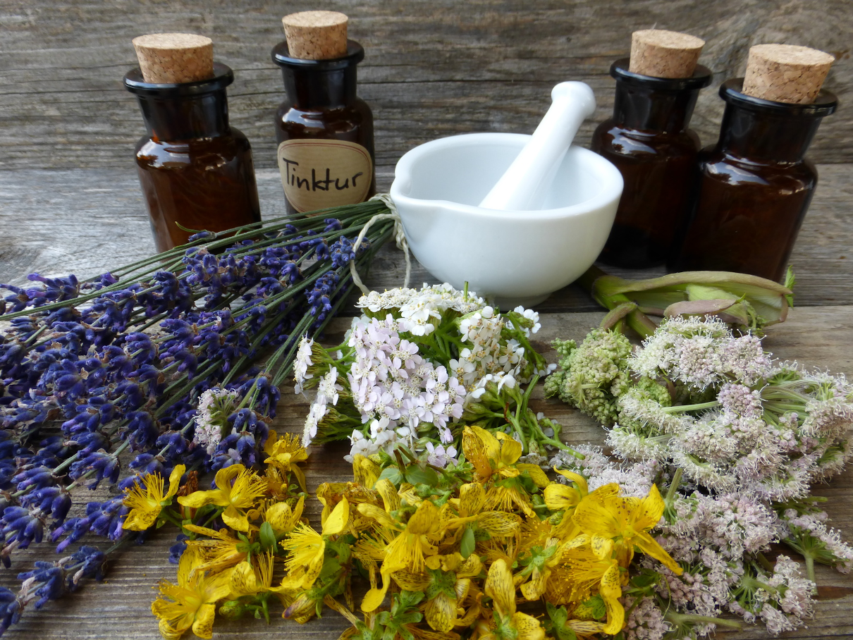 Medicinal herbs for cleaning the intestines