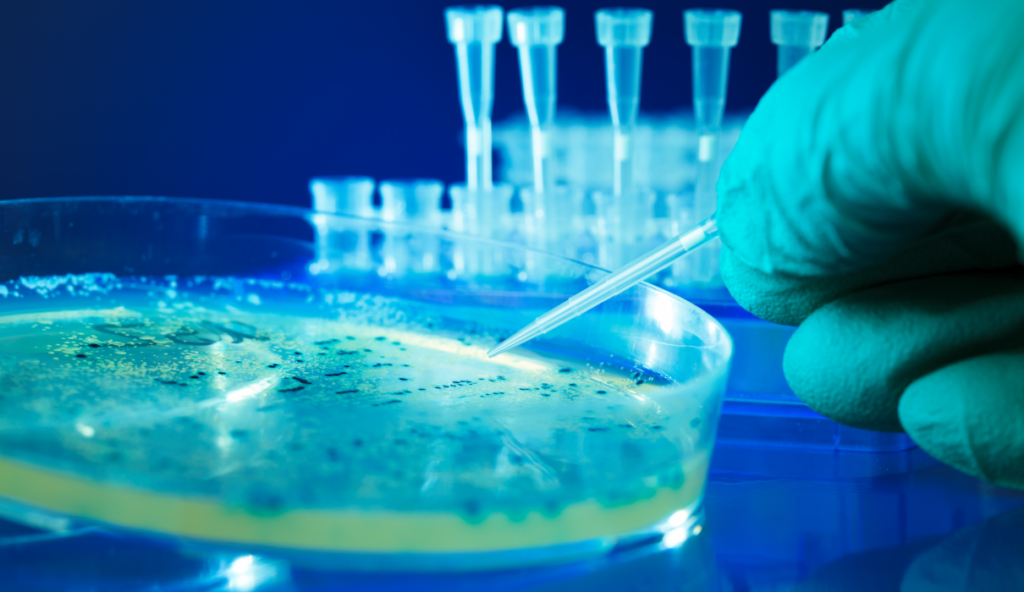 Health and laboratory testing at Parkland Natural Health