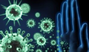 immune system directly linked with the colon