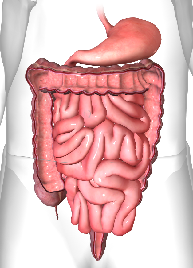Colonic irrigation common questions and answers