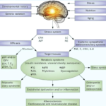 NEURANGIOSIS - neurohumoral regulation of the vegetative function explained at Parkland Natural Health