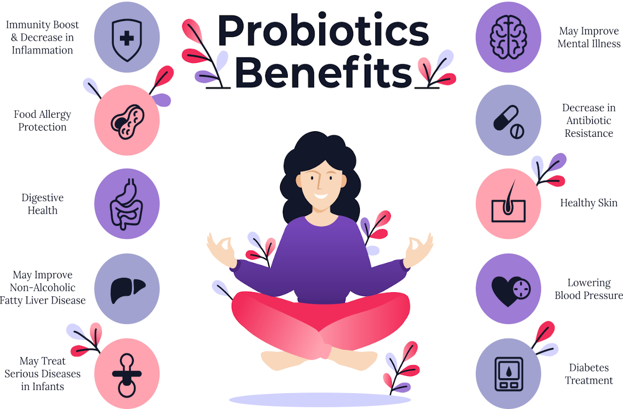 Probiotic health benefits. Flat illustration about probiotics influence to human body. Affordable medicines for intestinal microflora